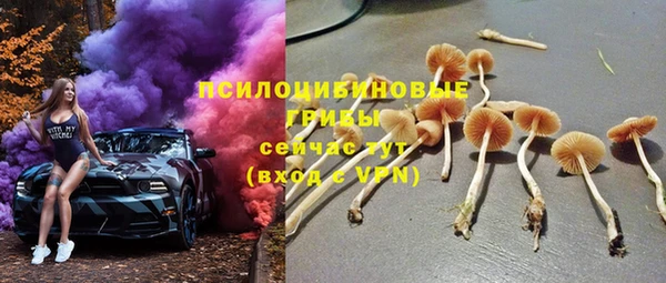 трава Абинск